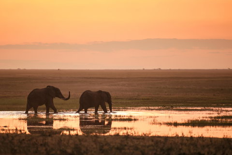 Zambia Safaris holidays