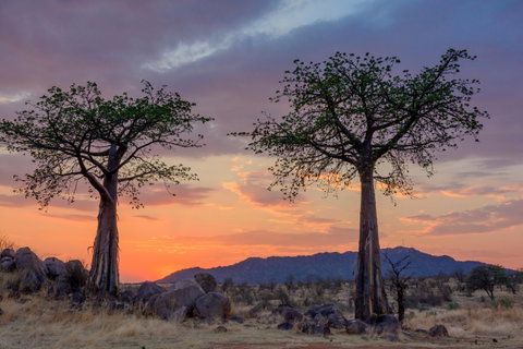 Ruaha National Park