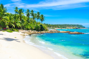 Southwest Coast