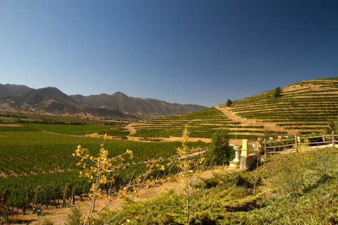 Winelands Extension
