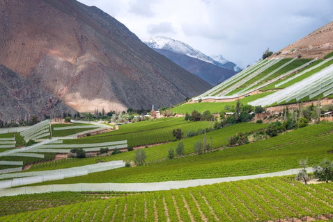 Food & Wine Holidays holidays