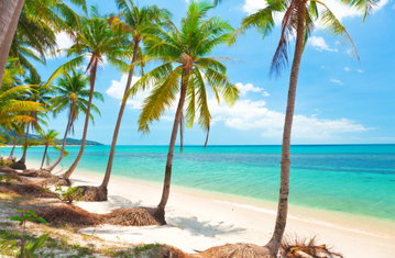 Blue water laps the beach at Koh Samui Thailand, with palm trees waving in the breeze and intense blue sky