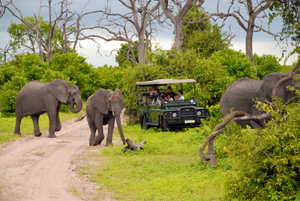 Aberdare National Park
