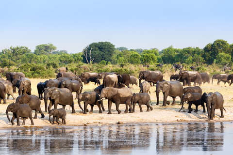 Safari Holidays holidays