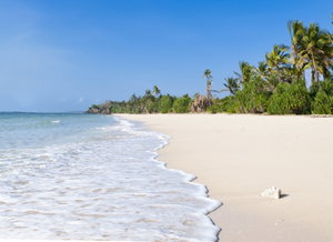 Mombasa & The Kenyan Coast