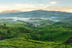 Munnar