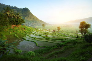 Indonesia