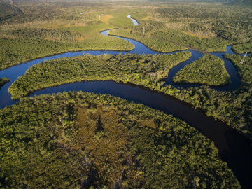 Aerial view of an Amazon River tributary, immersed in verdant tropical rainforest