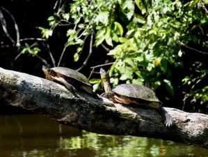 Tortuguero National Park