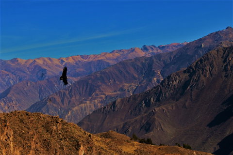 Colca Canyon