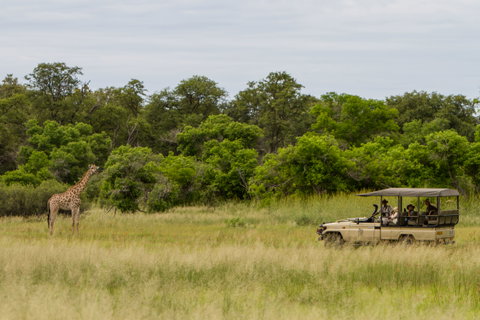 Moremi Game Reserve