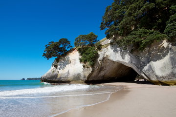 North Island Highlights