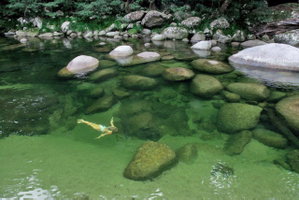Port Douglas Nature Retreats