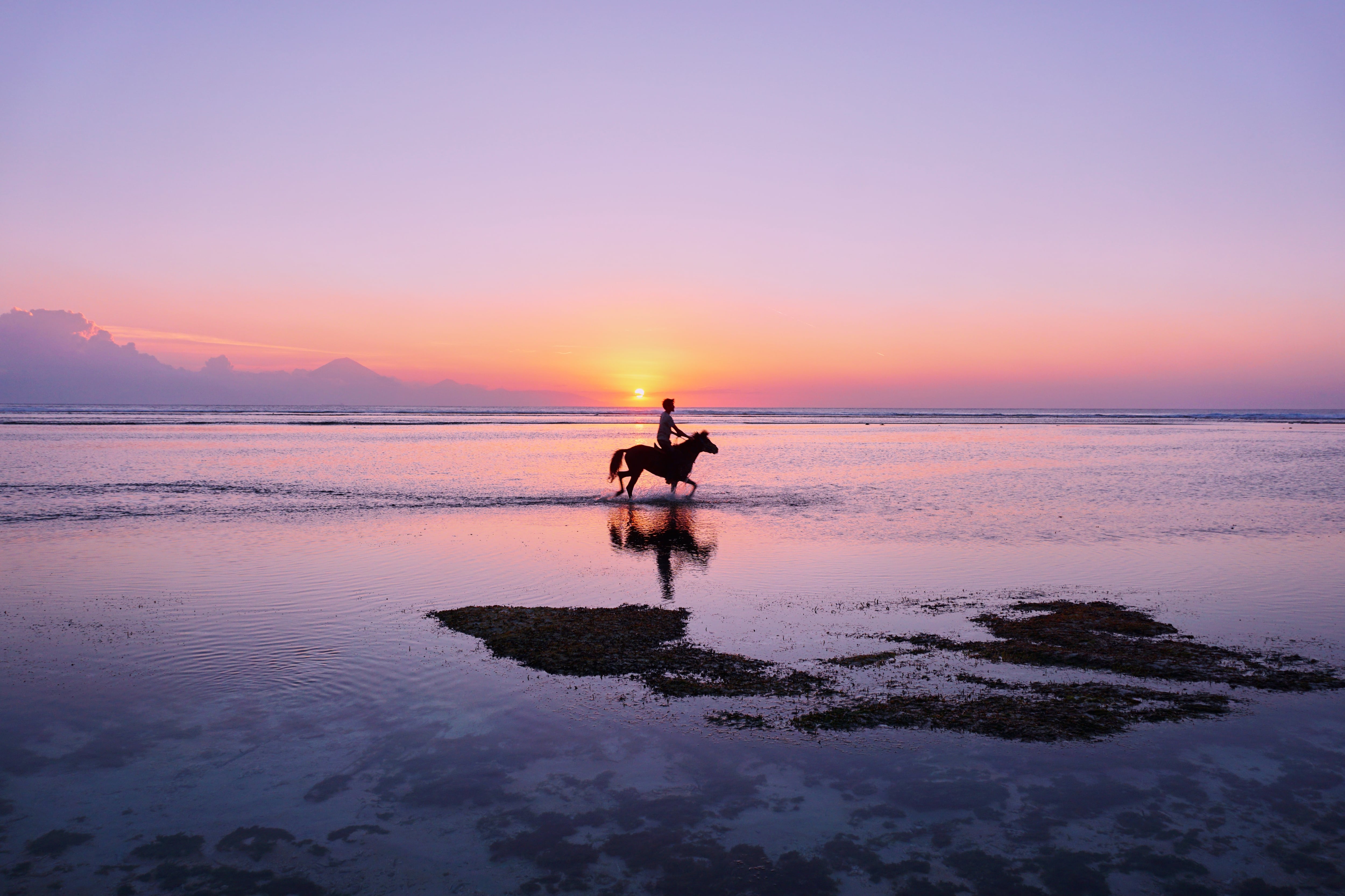 A horse on the beach at Gili Trawangan, Indonesia