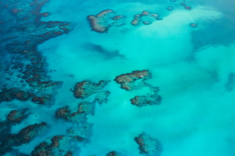 Turks & Caicos Islands