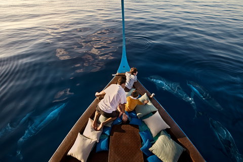 Dolphin Cruise