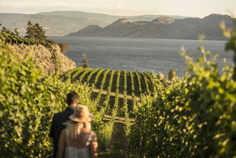 Kelowna Wine Tasting Tour