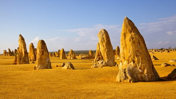 Pinnacles, Koalas & Sandboarding