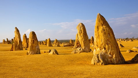 Pinnacles, Koalas & Sandboarding