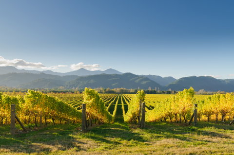 Marlborough, Abel Tasman & Kaikoura