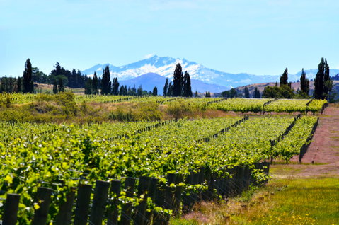Gibbston Valley