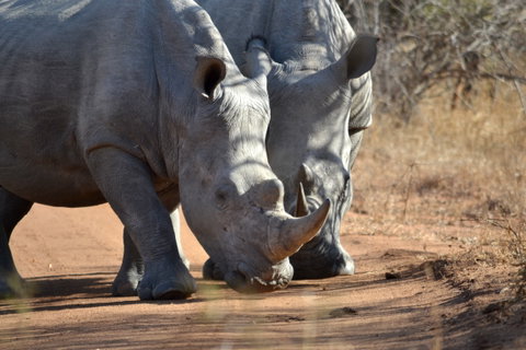KwaZulu-Natal Game Reserves