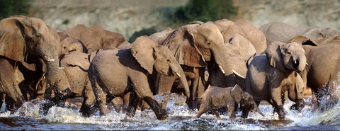 East Africa Private Touring