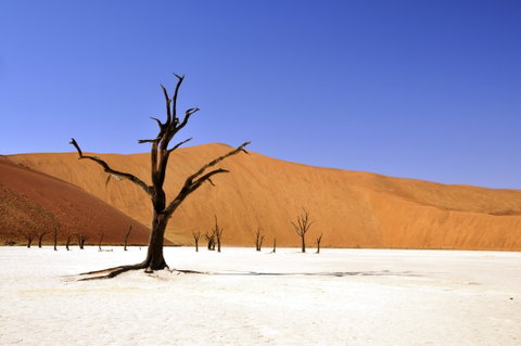 Deadvlei
