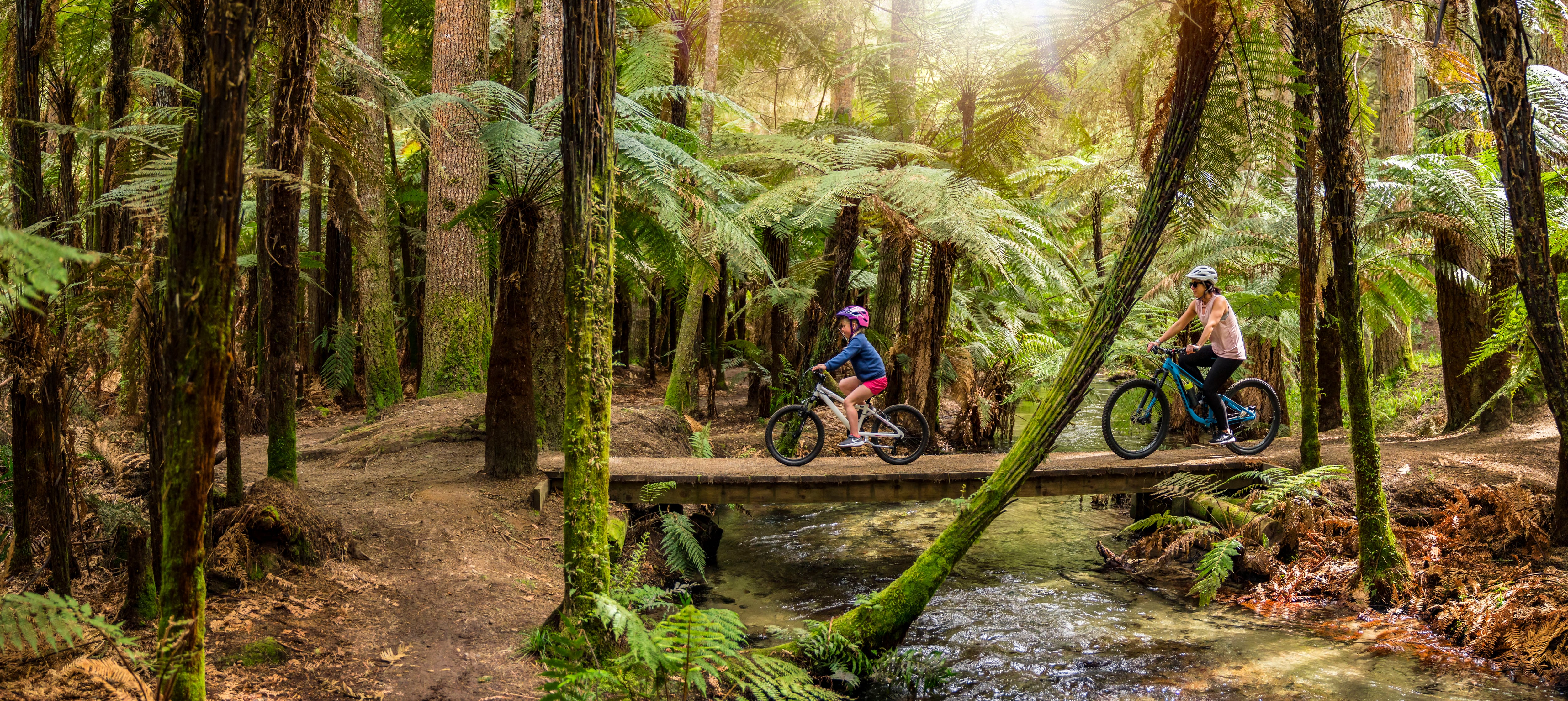 Cycling in Whakarewarewa Forest, New Zealand