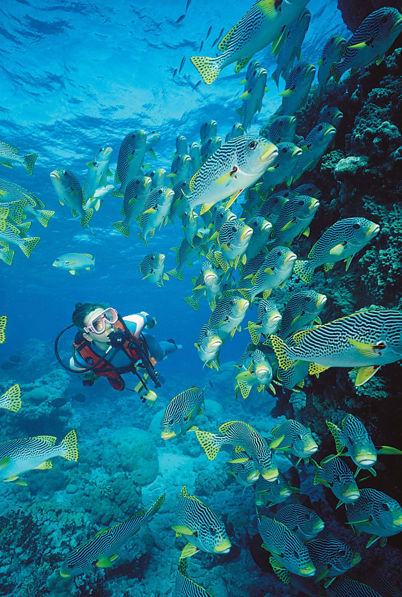 Tour image