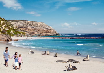 Wildlife & Wonders of Southern Australia