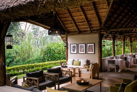 Gorilla Forest Lodge, an A&K Sanctuary