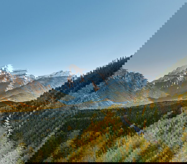 Classic Canadian Rockies & Wildlife Lodge Escape