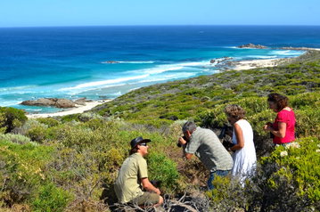 Coastal & Wildlife Eco Tour