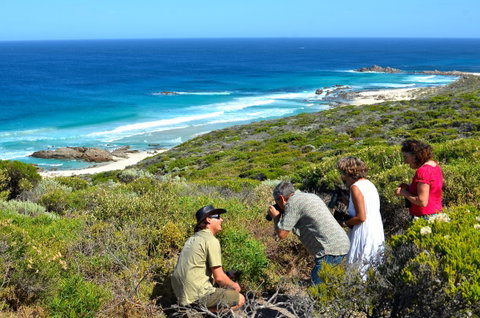 Coastal & Wildlife Eco Tour