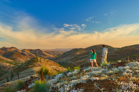 Ikara-Flinders Ranges National Park