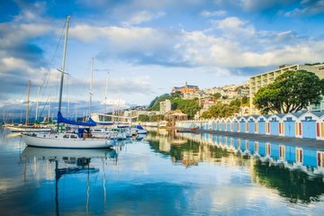 Colourful Wellington Harbour made up of a row of beach huts at the water’s edge, dotted with beautiful sailing boats, New Zealand