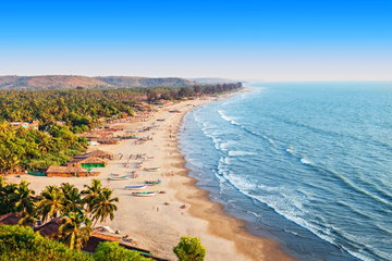 An aerial view of the sweeping golden sands of Goa State Beach as the waves gently roll towards the shore and tropical green forest stretches into the distance