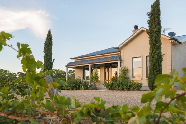 Barossa Shiraz Estate