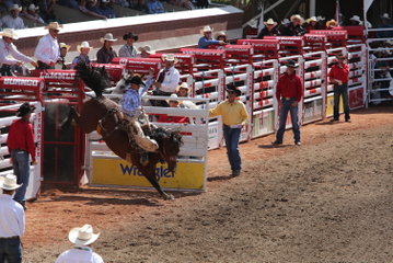 Calgary Stampede, The Rockies & Radiant Alaska