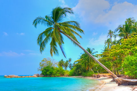 Balinese Culture & Beach