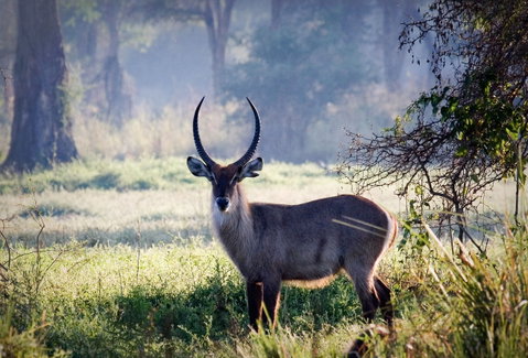 Guided Small Group Adventure Touring holidays
