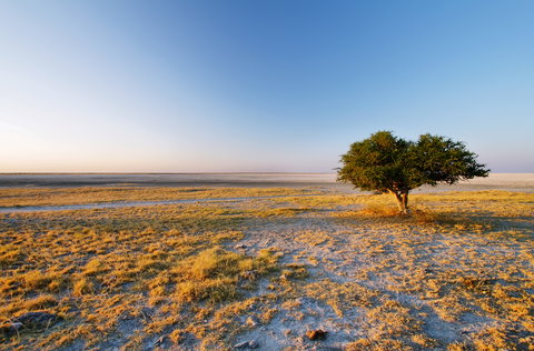 Makgadikgadi Pans National Park