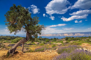 Cycling Croatia's Dalmatian Coast
