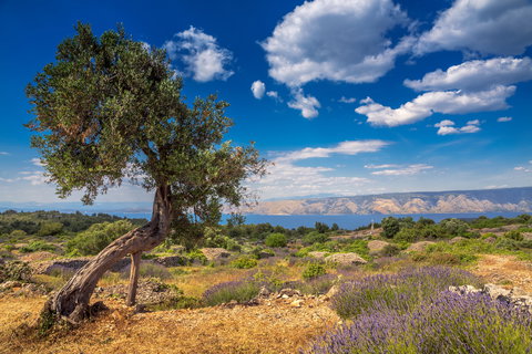 Cycling Croatia's Dalmatian Coast
