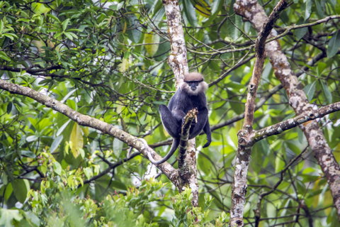 Sinharaja Forest Reserve & Bundala National Park