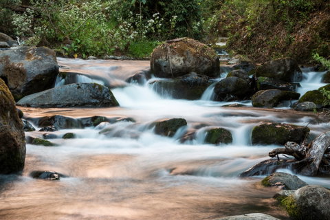 San Gerardo de Dota & Pacuare River