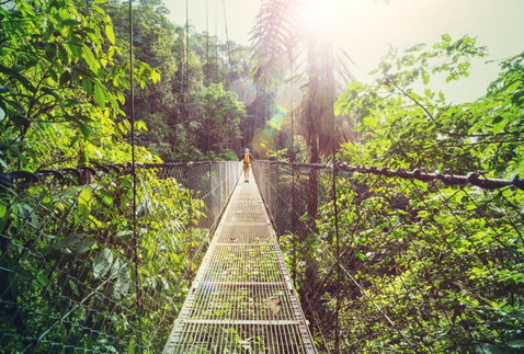 National Geographic Journeys Guided Small Group Adventure Tours holidays