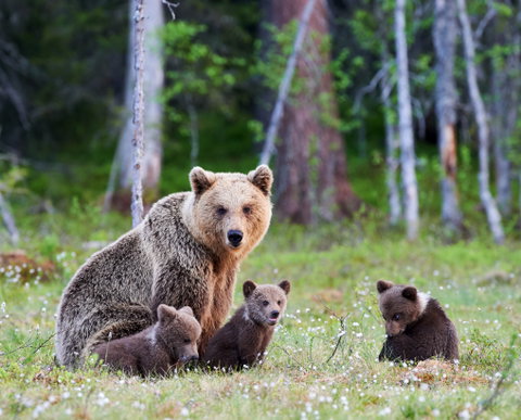 Guided Small Group Adventure Tours holidays