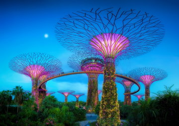 Singapore & Thailand